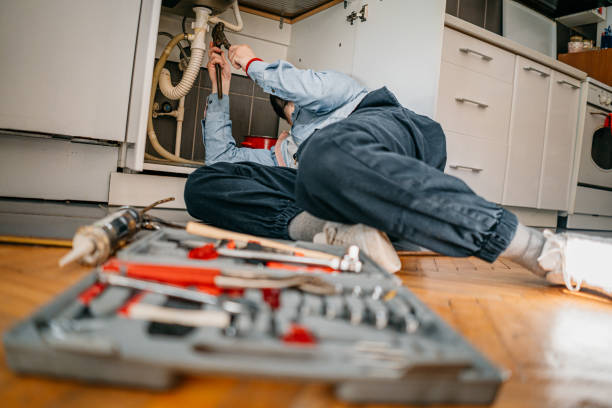 Best Local Plumber Services  in Bement, IL