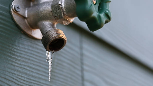 Best Drain Cleaning Services  in Bement, IL