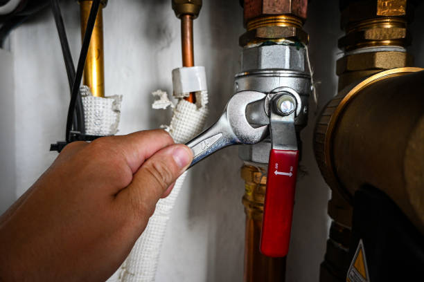 Best Plumbing Inspection Services  in Bement, IL